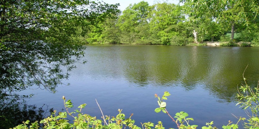 Terry's Pool at Earlswood Lakes