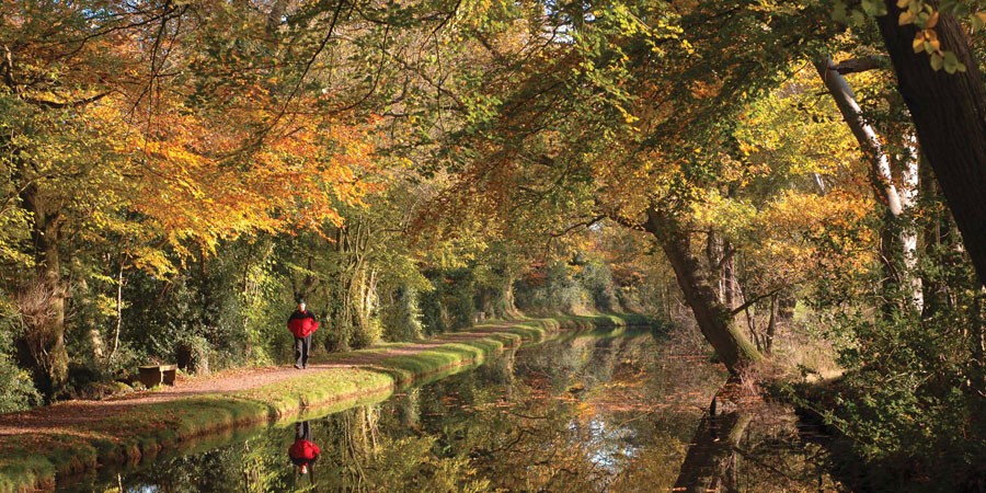 Man walking along towpath by canal with autumnal colours