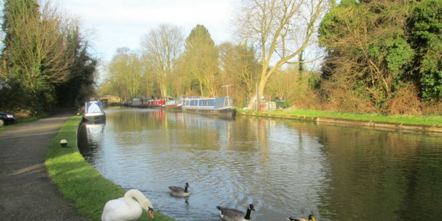 View across Cassionbury Park by the canal