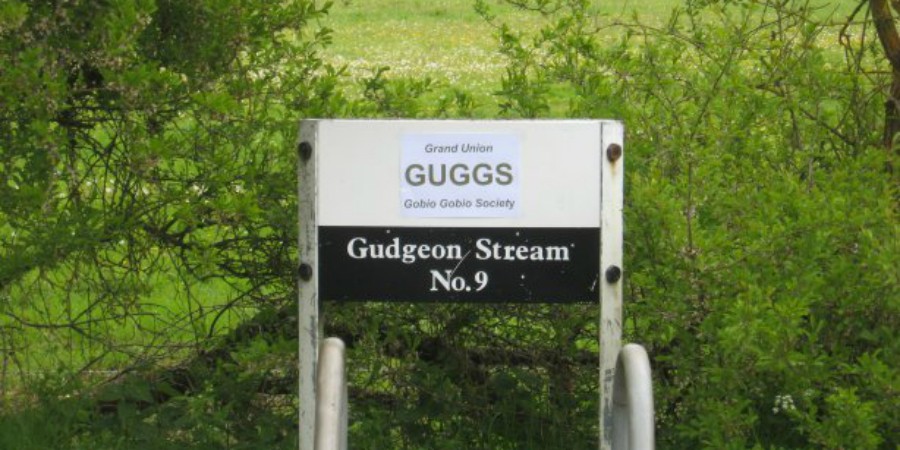 Gudgeon Stream Aylesbury Arm