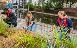 Young people planting greenery by the canal