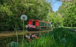 A red and green narrowboat cruises along calm, rural waters with thick greenery covering the towpath in front of blue skies.