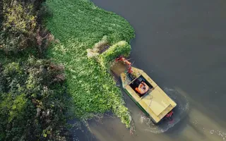 Weed conver boats removing floating pennywort