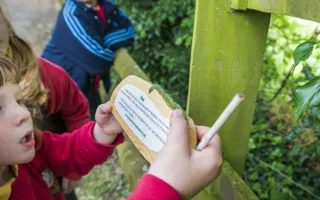 Searching for wildlife