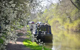 Focus of tree blossom with boat moored in the background