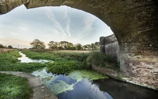 Narrow canal with thick vegetation and plant life on the water surface under a bridge.