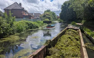 Wide shot of a weeded canal with a work boat full of green weeds in the foreground and blue sky in the background