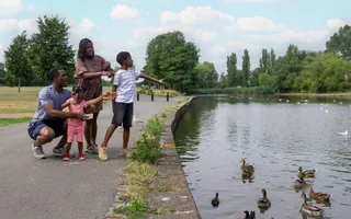 A family feeding ducks