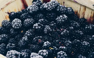 Photo of blackberries