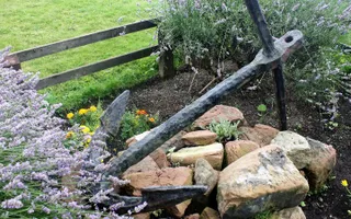 Anchor in the middle of flowers