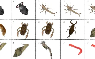 Pollution Activity Image
