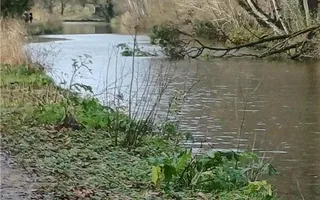 tree restricting navigation