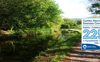 Swansea 225 anniversary