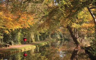 Man walking along towpath by canal with autumnal colours