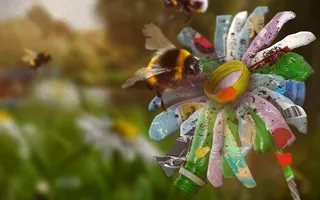 Bee image for homepage