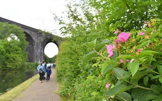 Pink flowers bloom in a hedgerow to the right, which runs parallel to a concrete towpath that people are walking towards the camera on. On the right is a stretch of canal.