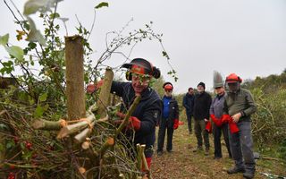 Group of people wearing protective clothing working on hedges