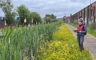 A staff member taking notes on a clipboard next to the reedbed along the Walsall Canal