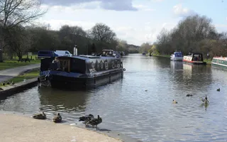 Ducks and moored boats on stretch of canal