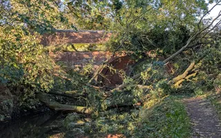 Fallen Tree, Bridge 8, MH Arm