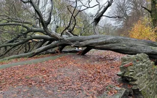 Towpath at Bridge 142