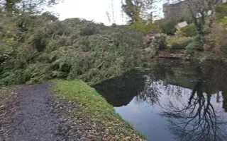 Tree blocking navigation & towpath