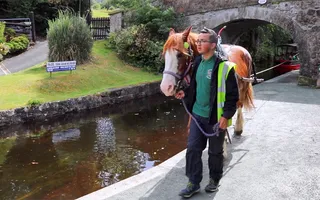 Ifan & Taffy on the llangollen Canal