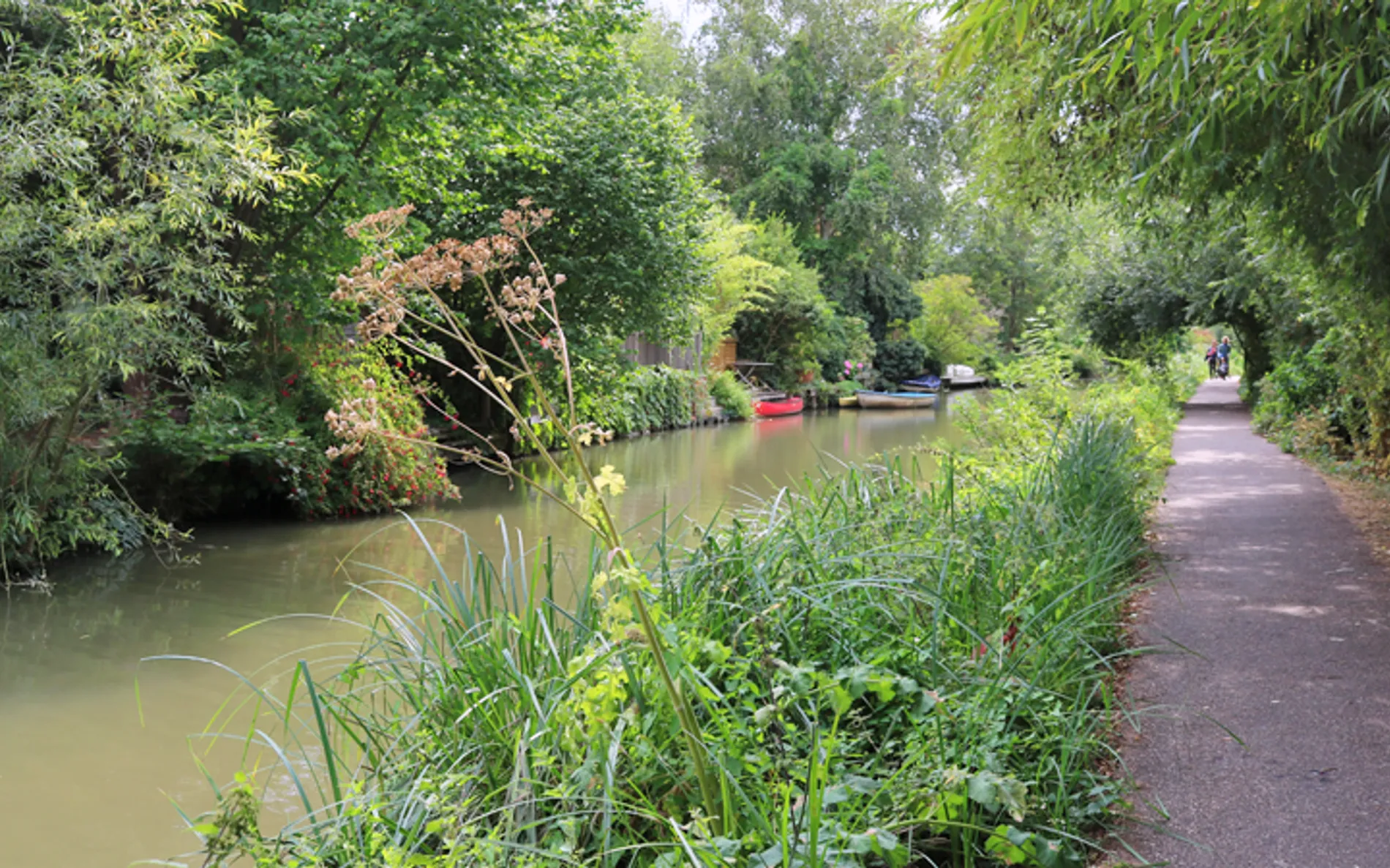 Oxford Canal towpath in Banbury with narrowboats and greenery