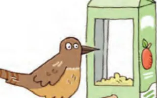 Illustration of bird feeder made from recycled materials