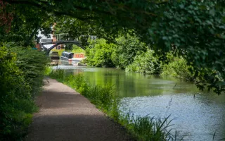 A canal with green foliage all around