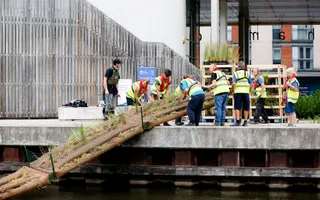 Volunteers wearing high vis jackets planting reed beds