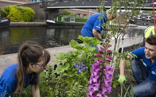 Four Canal & River Trust volunteers gardening next to the canal towpath in Birmingham