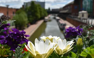 Flowers over the Oxford Canal at Banbury
