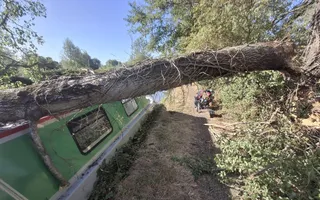 Fallen Tree onto Boat