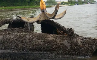 Gloucester & Sharpness Canal