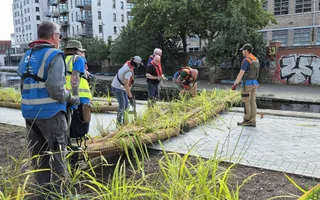 Group of people wearing lifejackets standing around reeds