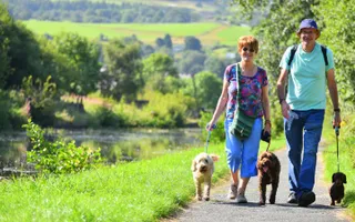 A couple walking their dogs along the towpath on a sunny day