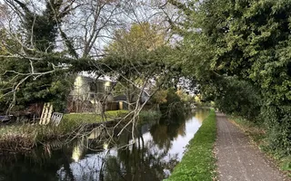 Large fallen tree across towpath and navigation.