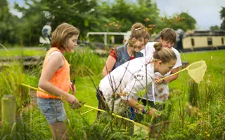 Group of people looking into pond with dipping nets