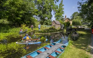 Volunteers on paddleboards and canoes removing weed from canals