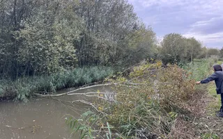 Fallen tree blocking Droitwich Junction Canal