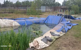 A temporary dam set up in the canal with scaffolding and blue plastic sheets to prevent contaminated water spreading.