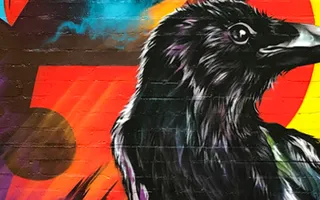 A large mural featuring a magpie