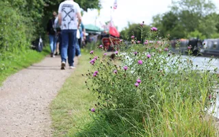 Group of walkers with wildflowers blooming beside them on the towpath