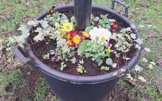 Flower bed