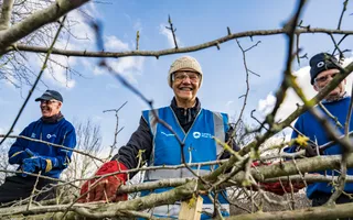Looking up at volunteers doing hedgelaying and smiling at camera
