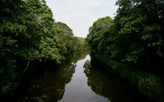A wide canal that is completely still is lined with thick overhanging greenery.