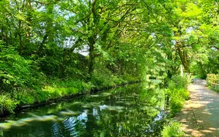 A view down the Swansea Canal surrounded by verdant woodland