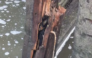 Bottom Gate Burghfield