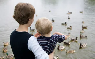 A mother and child feeding ducks together